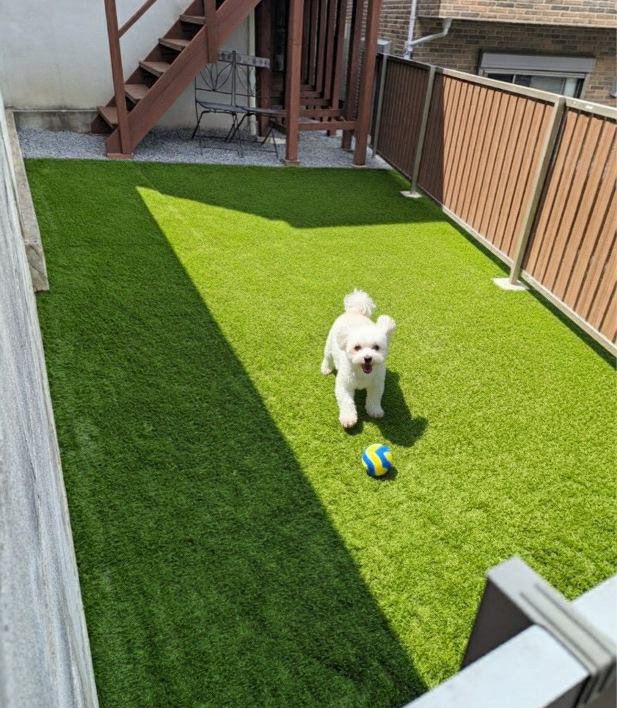 お庭のリフォーム工事