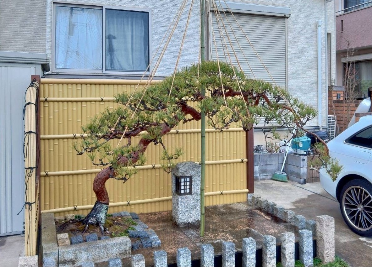 赤松を使ったお庭